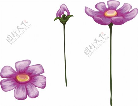 粉色花朵解析卡通植物矢量素材
