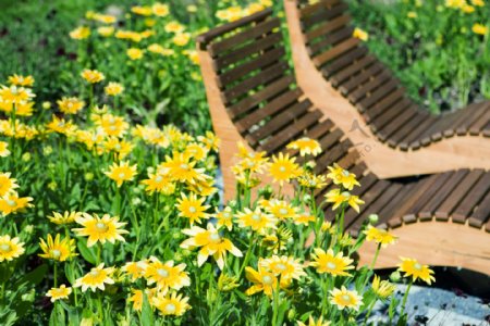 鲜花丛中的躺椅风景图片