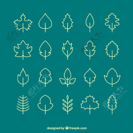 20款创意树叶图标矢量素材