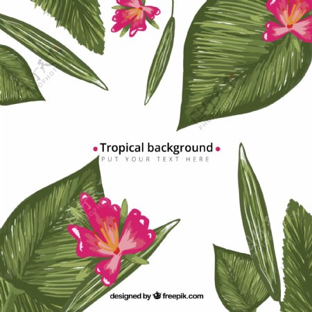 彩绘热带植物叶子花卉背景矢量素材