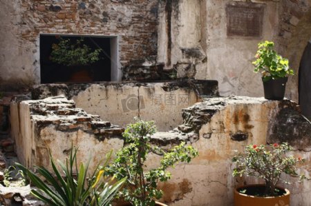 房屋的废墟和植物