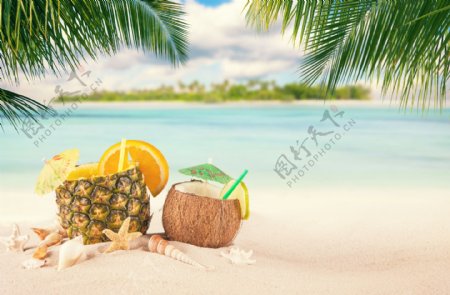 夏季椰子沙滩背景