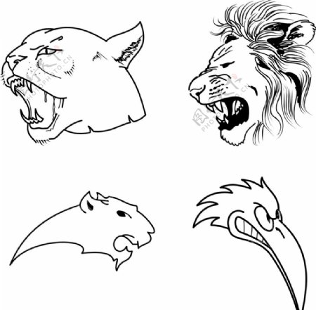 狮子头动物头部