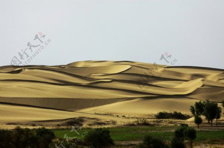 沙漠背景素材图片