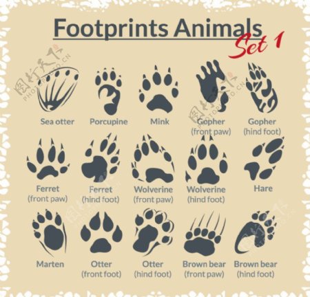 动物脚印矢量素材