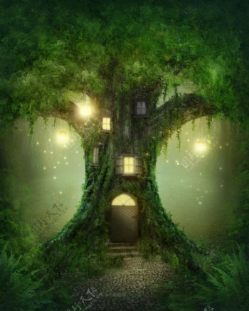 神秘树林里大树上的房屋图片
