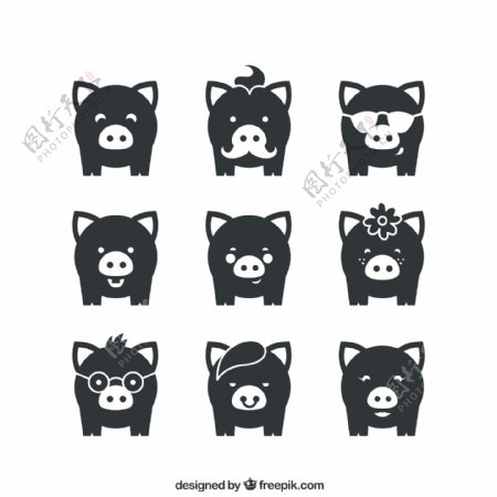 9款黑色小猪图标