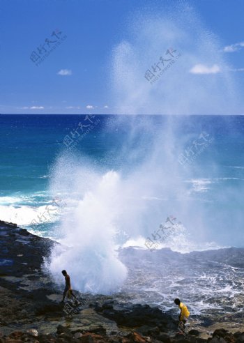 美丽夏威夷海岸图片
