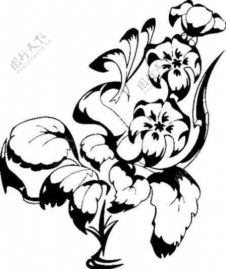 装饰图案花纹花朵图腾矢量素材ai格式146