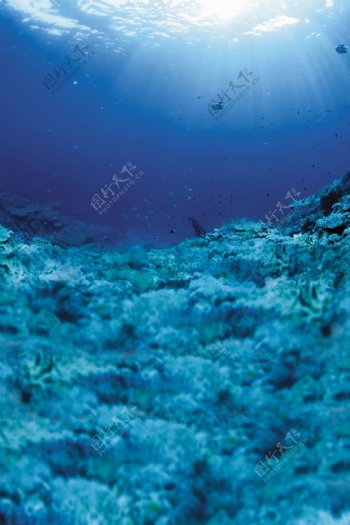 蓝色海底风景图片
