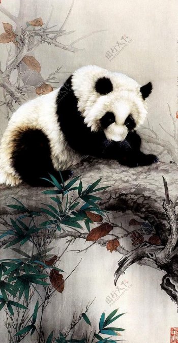 熊猫图油画图片