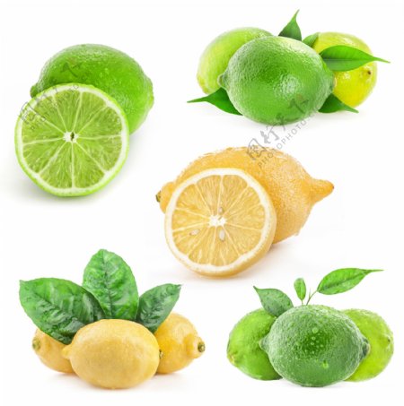 新鲜柠檬水果摄影图片
