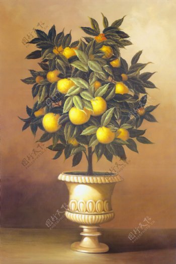 漂亮的柠檬树油画