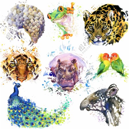 动物头像水彩画高清图片