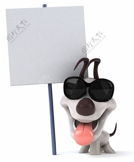 白板和戴眼镜的小狗