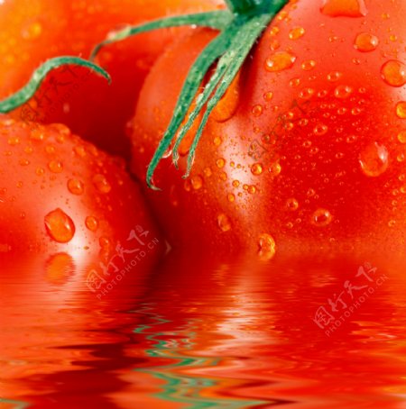 水中的西红柿图片