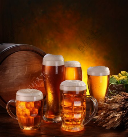 麦穗啤酒花与啤酒图片