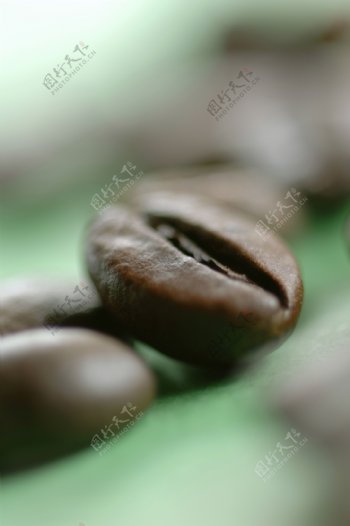几粒黑色咖啡豆图片