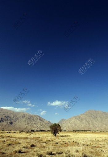 大漠图片