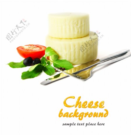 奶酪20图片