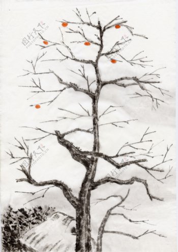 水墨风景柿子树图片图片