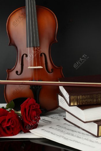 音乐与玫瑰花与小提琴图片