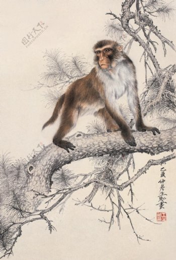 国画松树与猴子图片