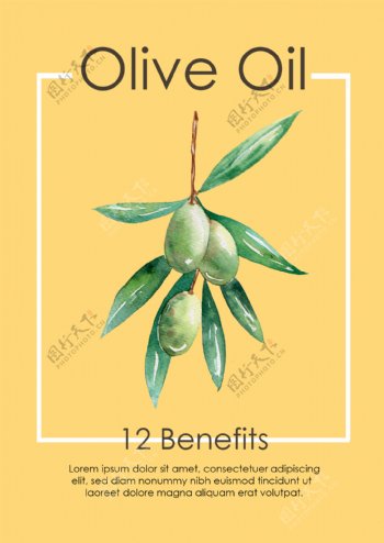 水彩橄榄油海报图片