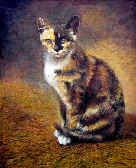 油画猫图片