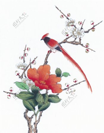 花卉小鸟油画图片