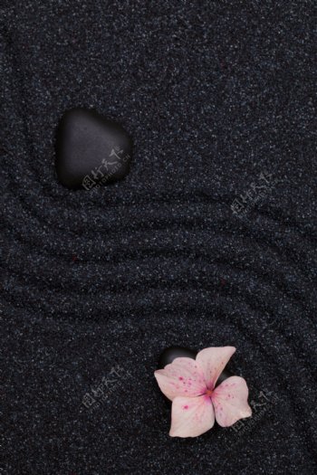 鹅卵石上的花朵图片