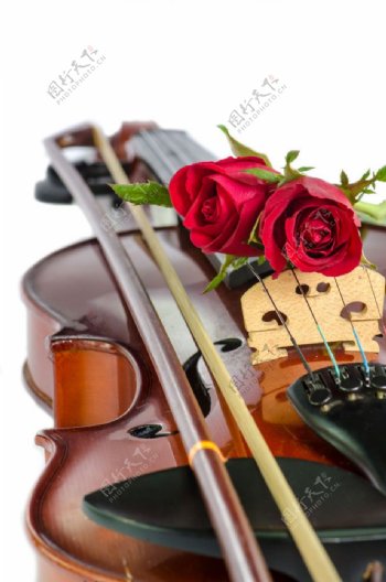 玫瑰花和吉他图片