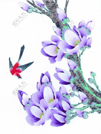 紫色花卉与燕子图片