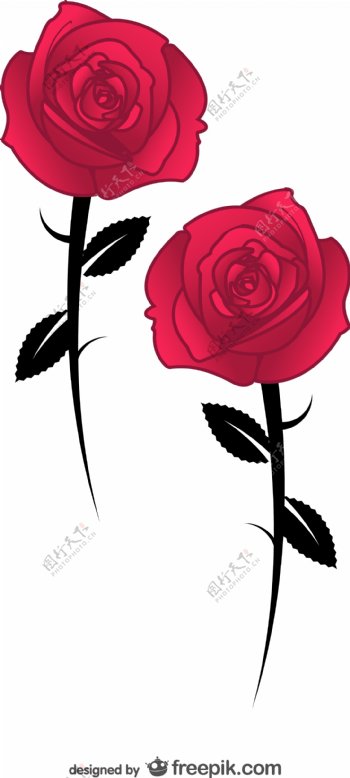 两枝红玫瑰