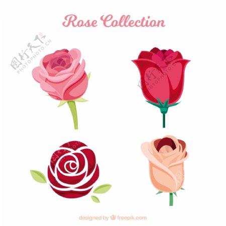 各种不同种类的玫瑰图标