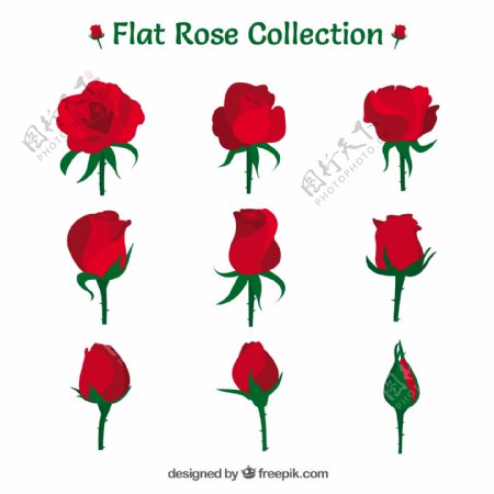 九种红玫瑰平面设计图标