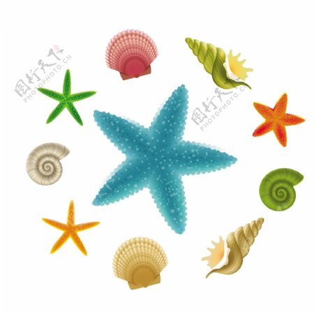 贝壳和海星集合