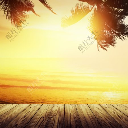 木板与阳光海边风景图片