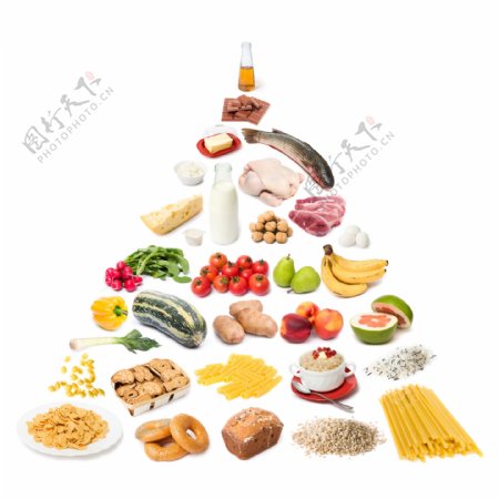 食物树图片