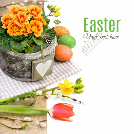 复活节花卉与彩蛋