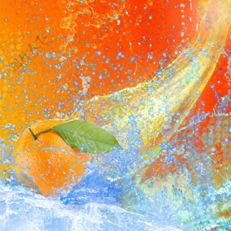 动感水球与柚子图片