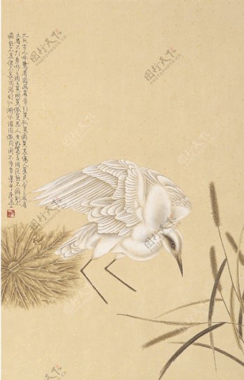 中国古典花鸟画素材
