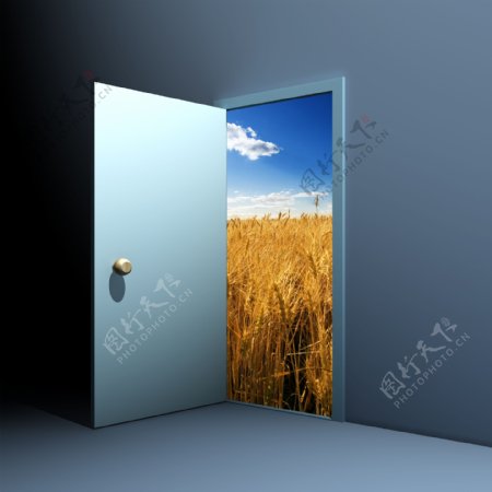 门窗里的蓝天稻田图片