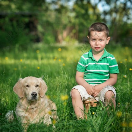 草地上的孩子与狗图片