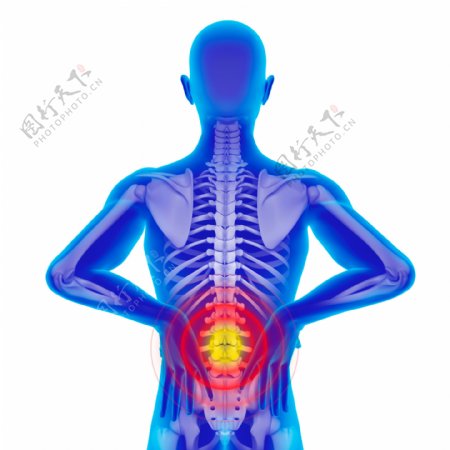 腰部骨骼关节疼痛图片