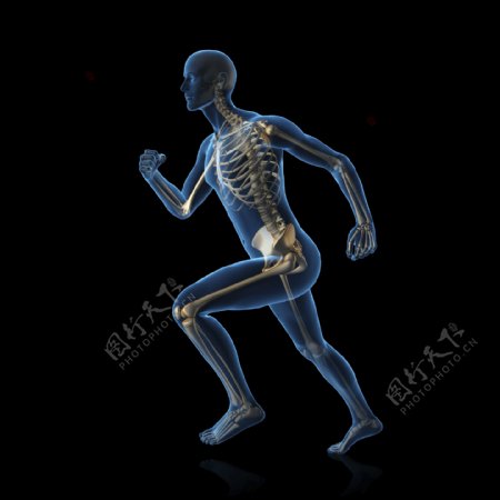 奔跑时的男性人体结构图片