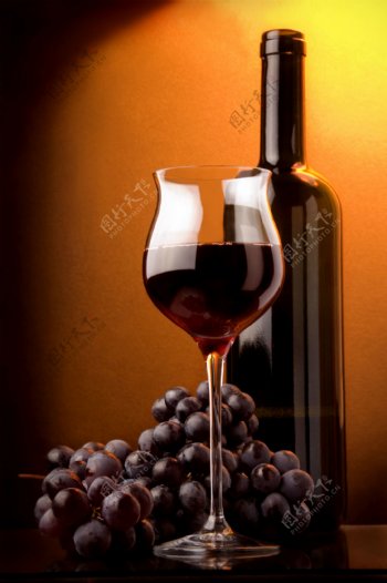 葡萄红酒图片