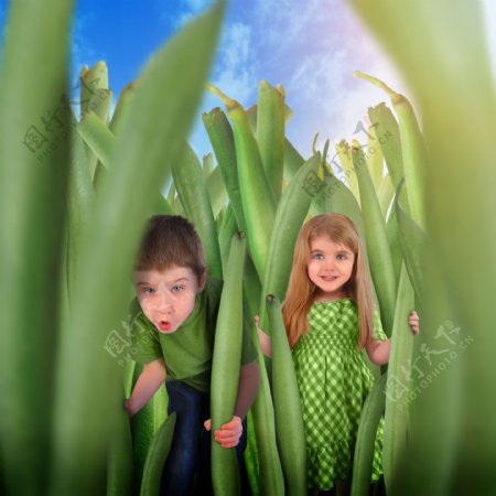躲藏在芦荟丛中的儿童图片
