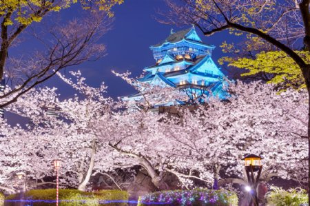 日本樱花楼阁图片
