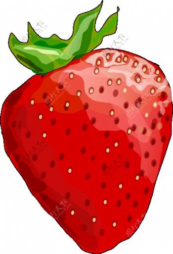 草莓的剪辑艺术6